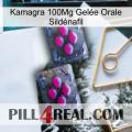 Kamagra 100Mg Gelée Orale Sildénafil 01